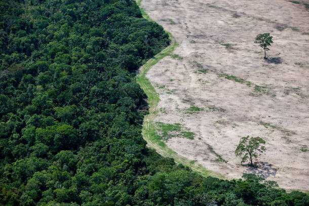 Governo Federal extingue reserva ambiental na Amazônia - Imagem: Foto: TIAGO QUEIROZ/ESTADÃO