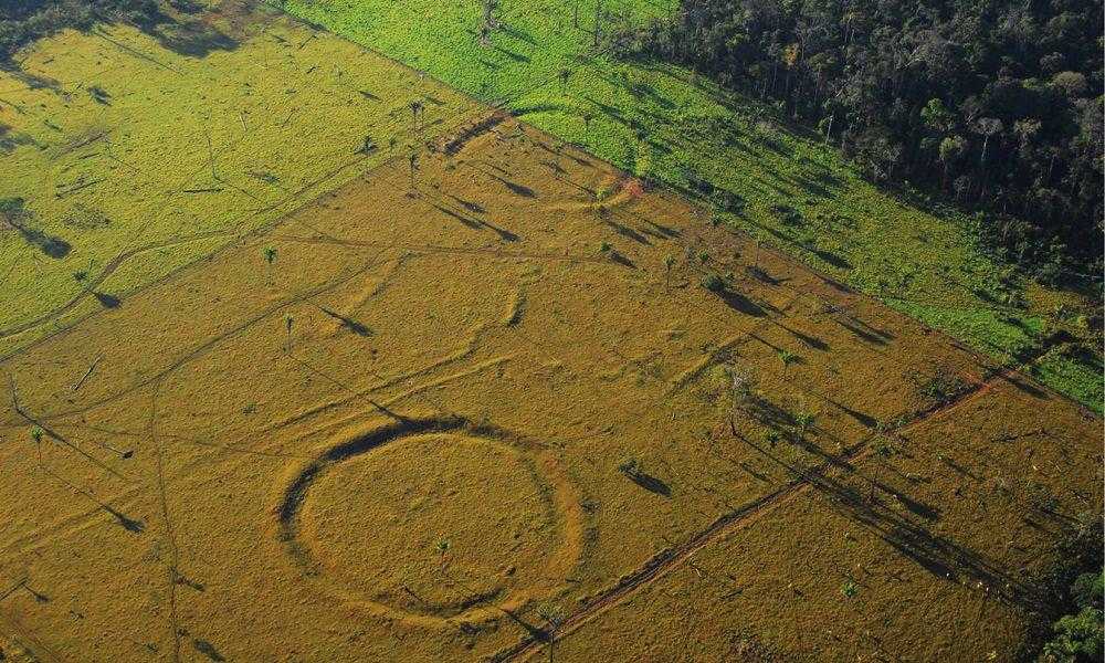 Cientistas desvendam o segredo dos geoglifos gigantes da Amazônia brasileira / Divulgação